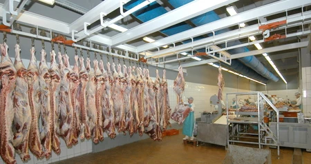 Дезинсекция на мясокомбинате в Люберцах, цены на услуги